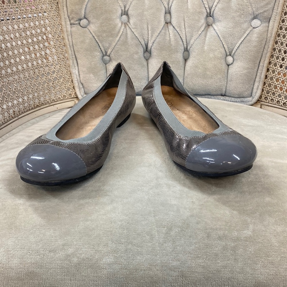 Vionic Shoes